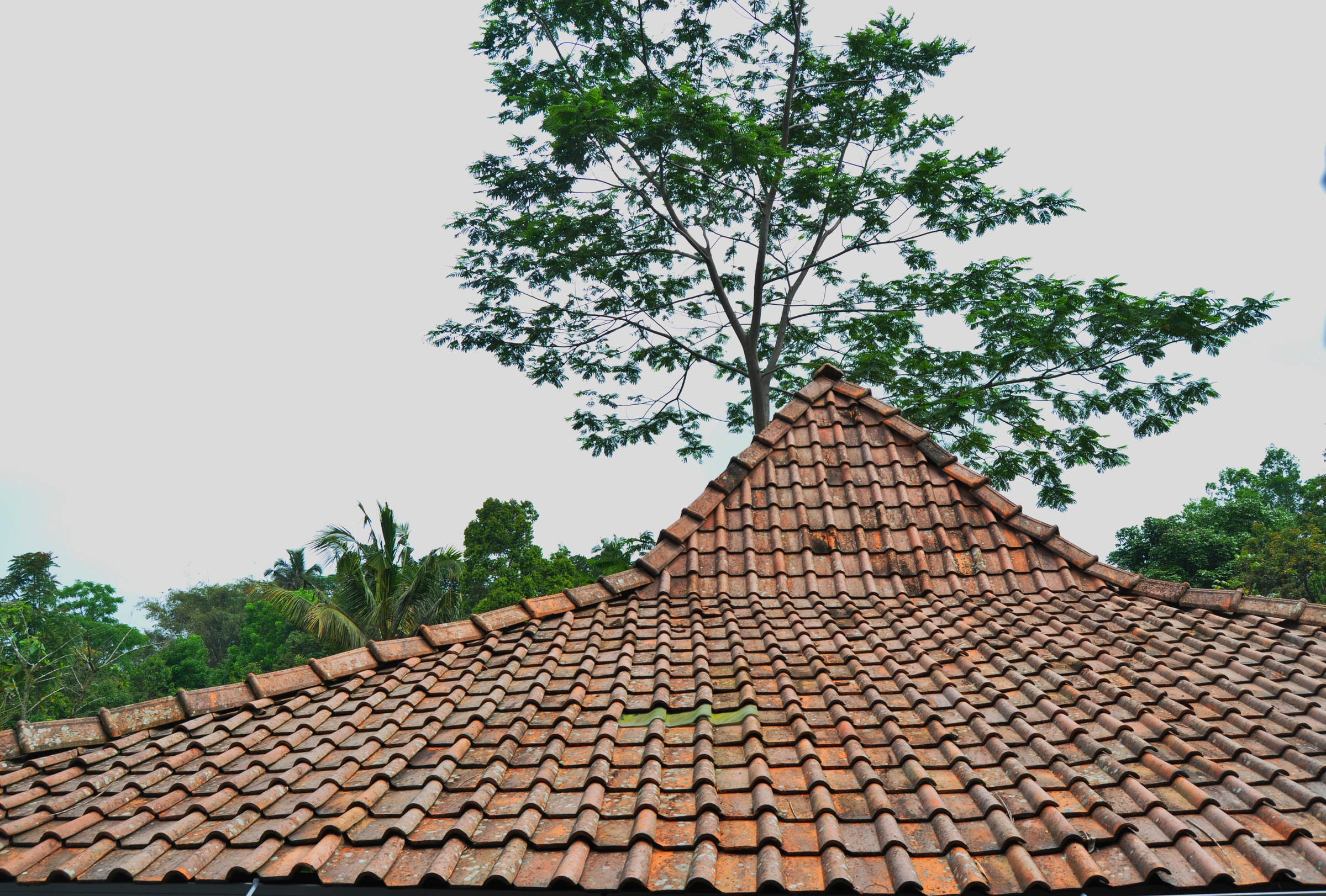 Joglo Roof